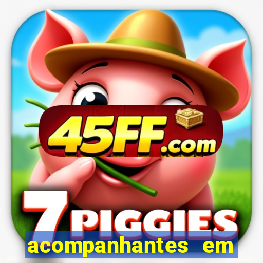 acompanhantes em porto velho